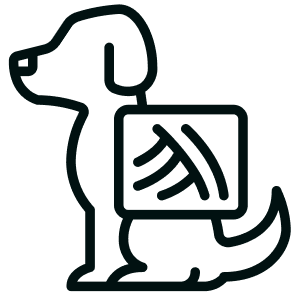 Rontgen logo