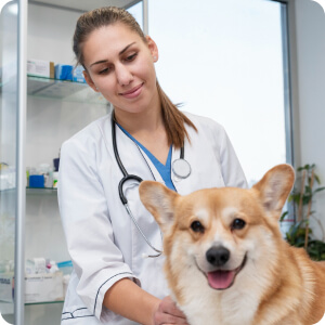 dr. Toth Orsolya